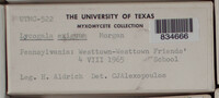 Image Associated With the Occurence